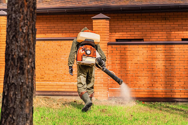 Trusted Bed Bug Control service in Day Heights, OH - Nex Pest Control